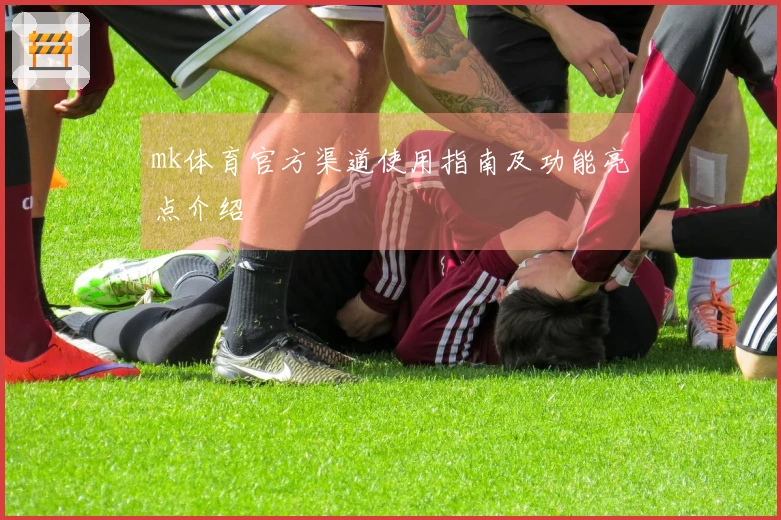 mk体育官方渠道使用指南及功能亮点介绍