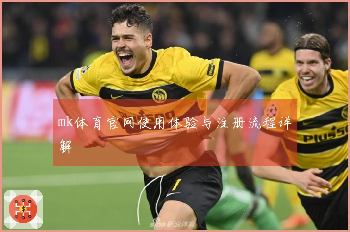 mk体育官网使用体验与注册流程详解