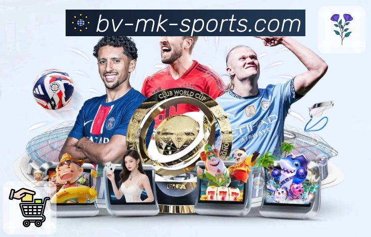 mk体育安全体系